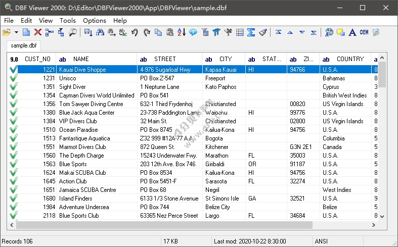 DBF文件查看和编辑工具 DBF Viewer 2000 v8.84 注册便携版