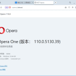 Opera Portable(Opera浏览器) v122.0.5643.142 官方便携版