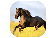 YourTV 你的电视TV v2.0.5 清爽版-纯净分享