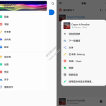 椒盐音乐Salt Player_v10.10.0 版无广告纯净版